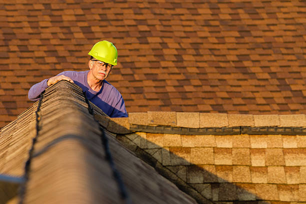 Best Storm Damage Roof Repair  in Palm Springs North, FL